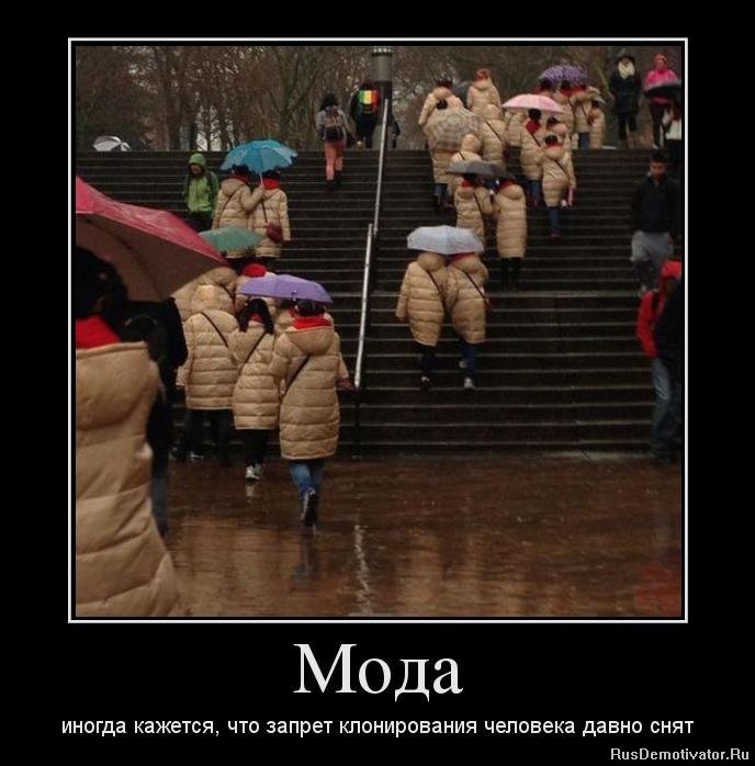 Иногда кажется